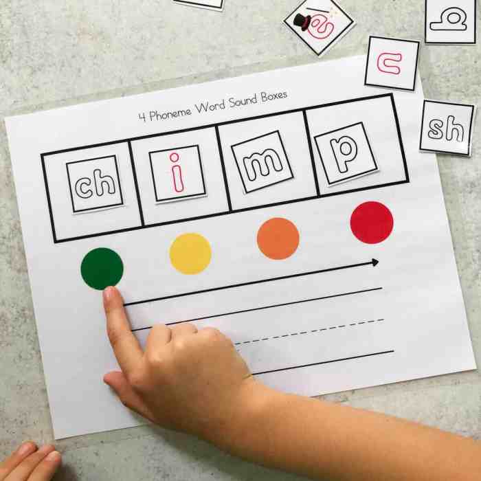 Elkonin boxes for multisyllabic words