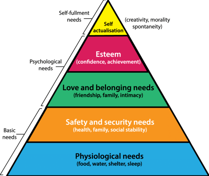 Quiz on maslow's hierarchy of needs