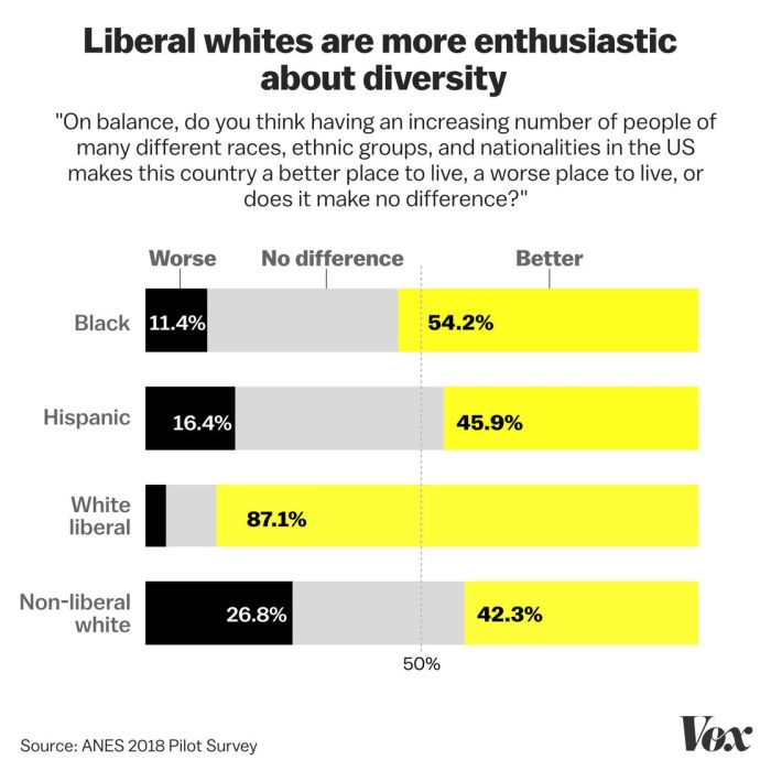 Liberals liberal democrats racism vox reparations systemic