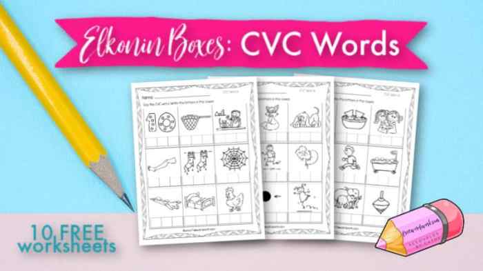 Elkonin boxes for multisyllabic words