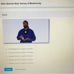 Video tutor session quiz dna profiling