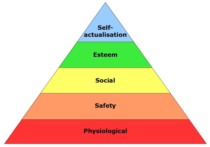 Hierarchy maslow maslows