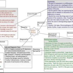 Ati nursing concepts advanced test