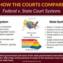 A federal case typically originates in a state court