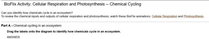 Respiration cellular inputs outputs glycolysis slidesharedocs fermentation